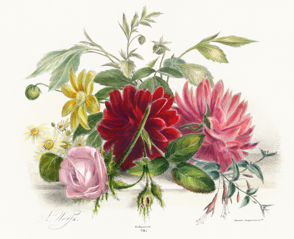 Colorful still life of flowers (1850), an arrangement of beautiful flowers. Digitally enhanced from our own original plate.