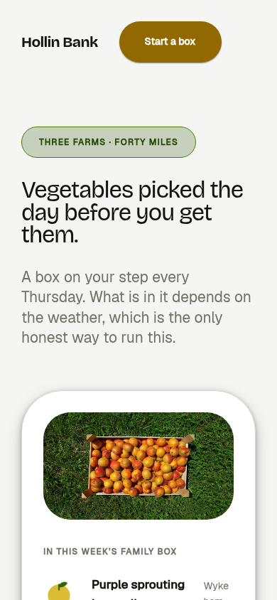 The same page at the mobile viewport